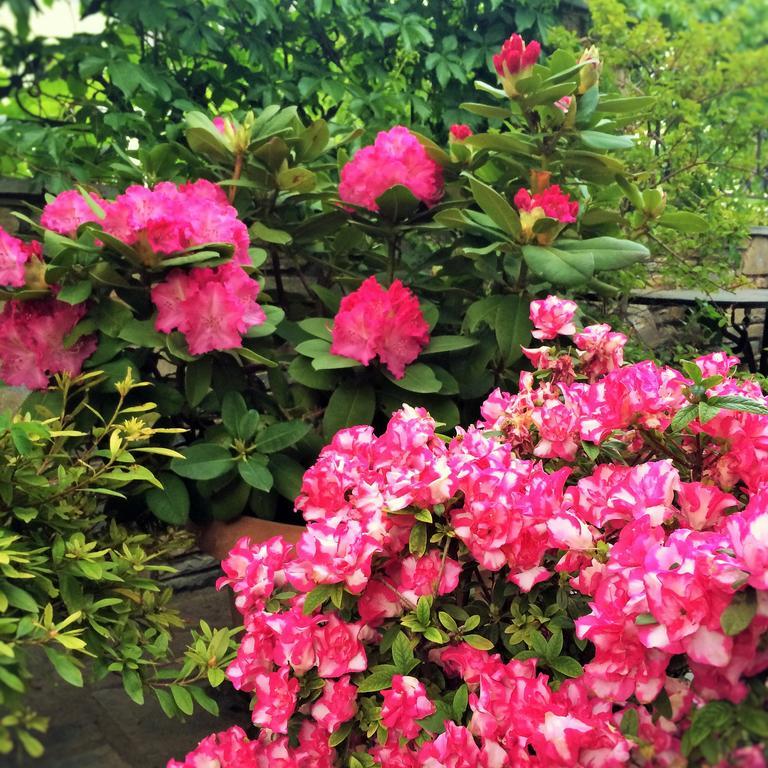 זגורה Muses Country House מראה חיצוני תמונה
