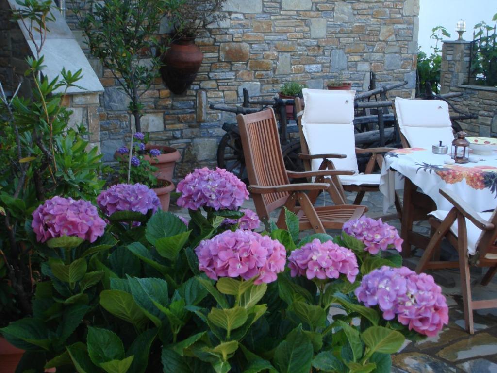 זגורה Muses Country House מראה חיצוני תמונה